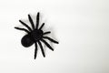 black spider toy Royalty Free Stock Photo